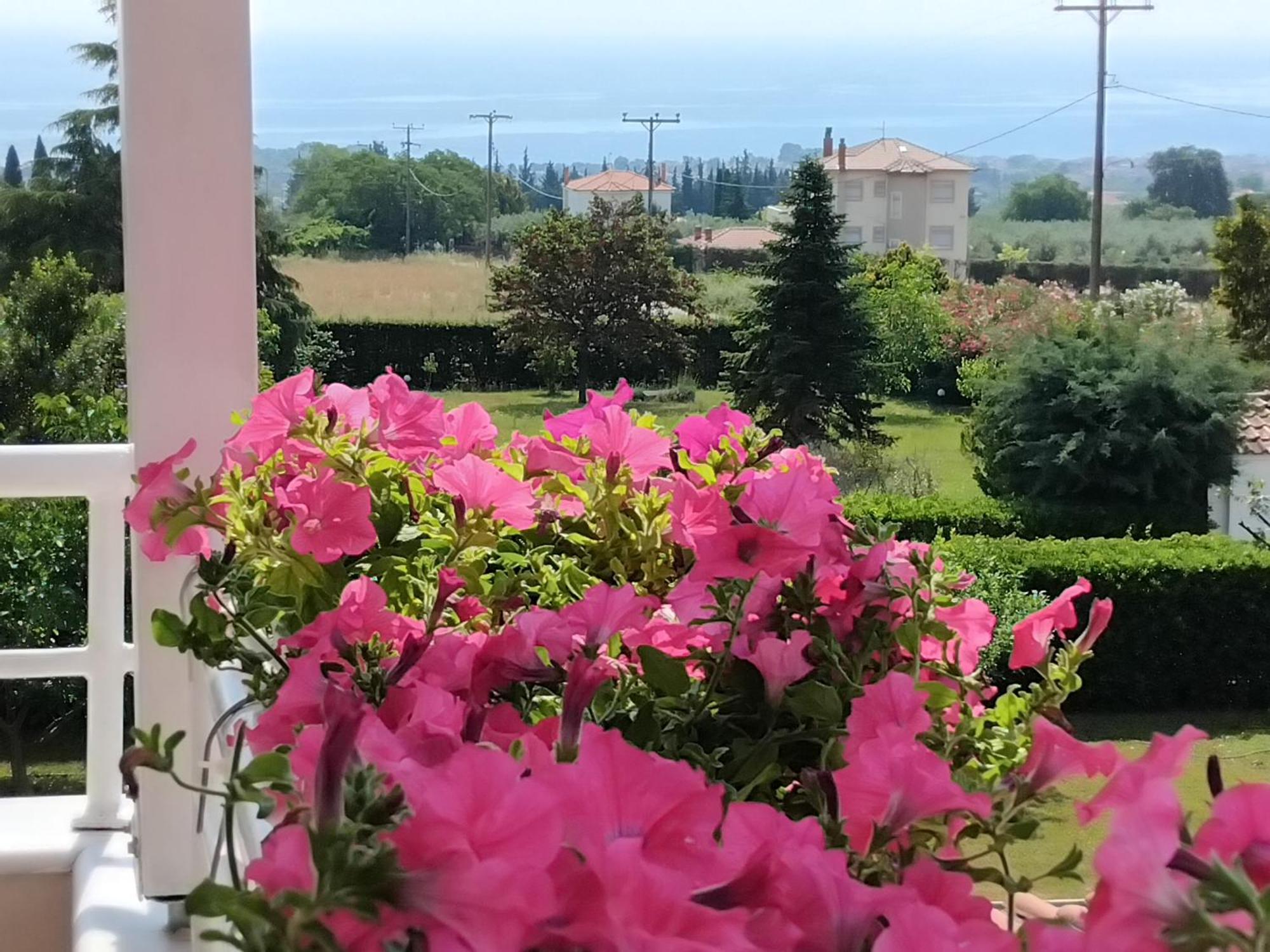 Tammy'S Garden House Vila Leptokarya  Exterior foto