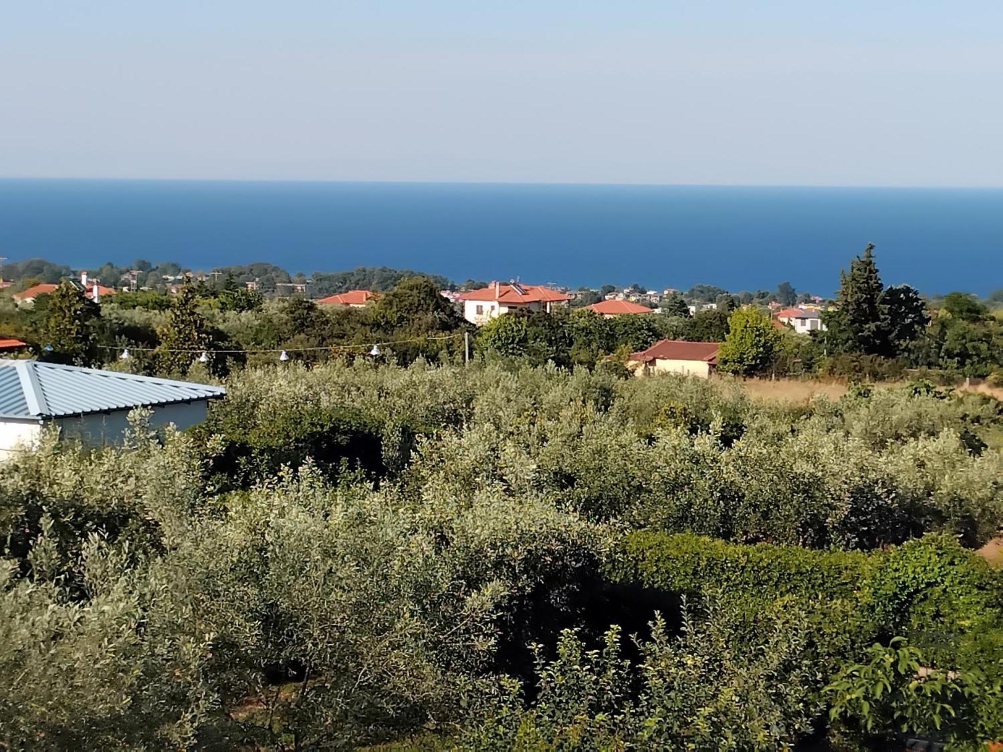 Tammy'S Garden House Vila Leptokarya  Exterior foto